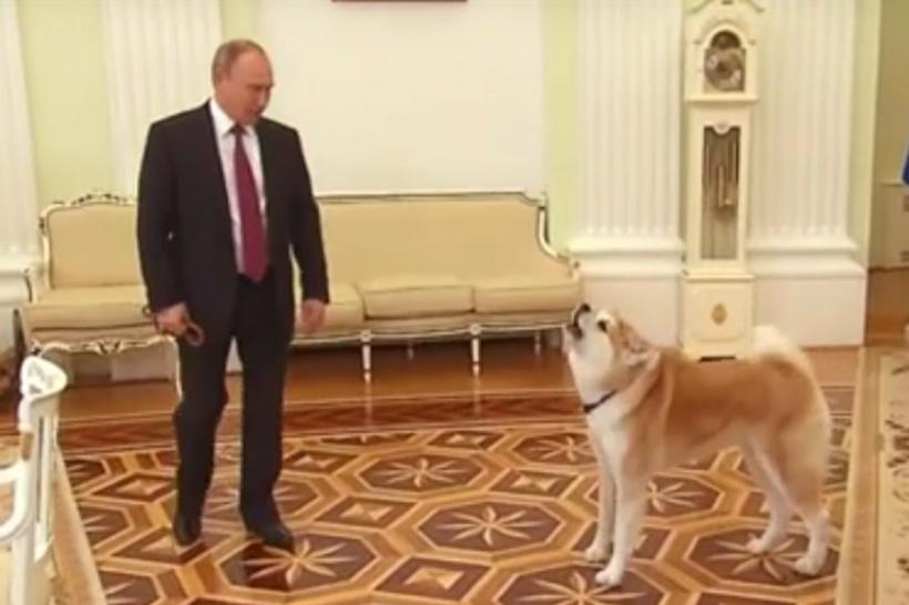 VIDEO - Căţeaua lui Putin a ţinut să se facă auzită în timpul unui interviu acordat de liderul rus