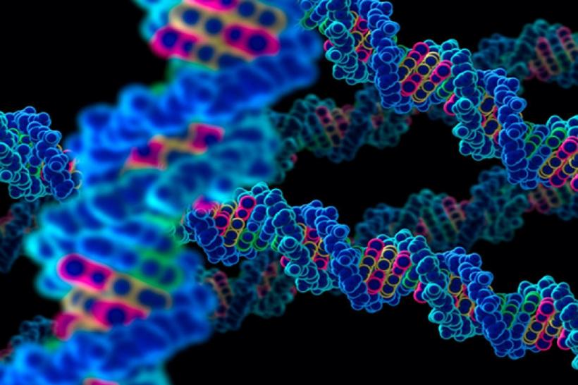 Ce moștenim genetic și ce dobândim pe parcursul vieții?