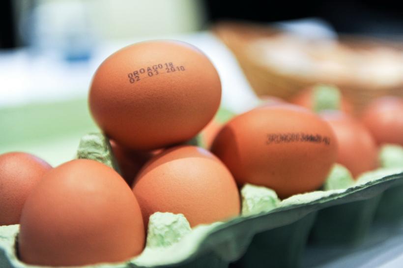 VASLUI - Alertă ANSVSA, ouă provenite din Polonia, infestate cu salmonella