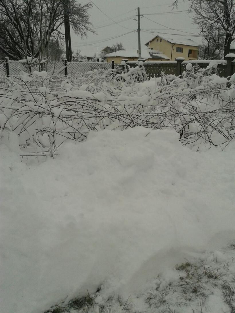 România sub nămeți. FOTO și VIDEO! 18562846