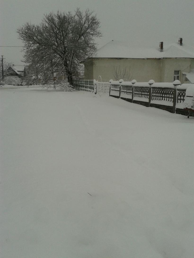 România sub nămeți. FOTO și VIDEO! 18562847