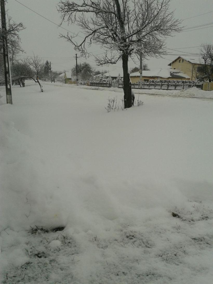 România sub nămeți. FOTO și VIDEO! 18562849