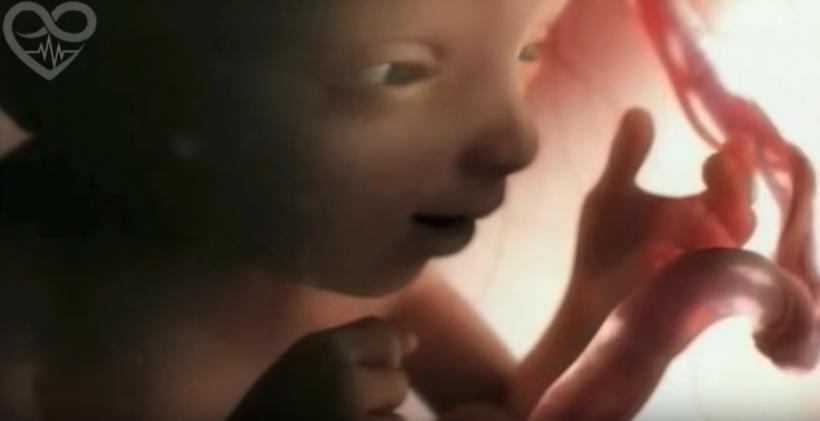 VIDEO UIMITOR! 9 luni de sarcină în 4 minute