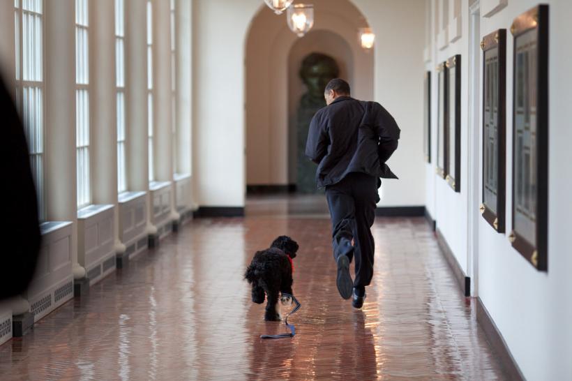GALERIE FOTO - Retrospectivă în imagini a președintelui Barack Obama