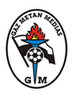 Sponsorizări de milioane în fotbal, ignorate de DNA 18564868