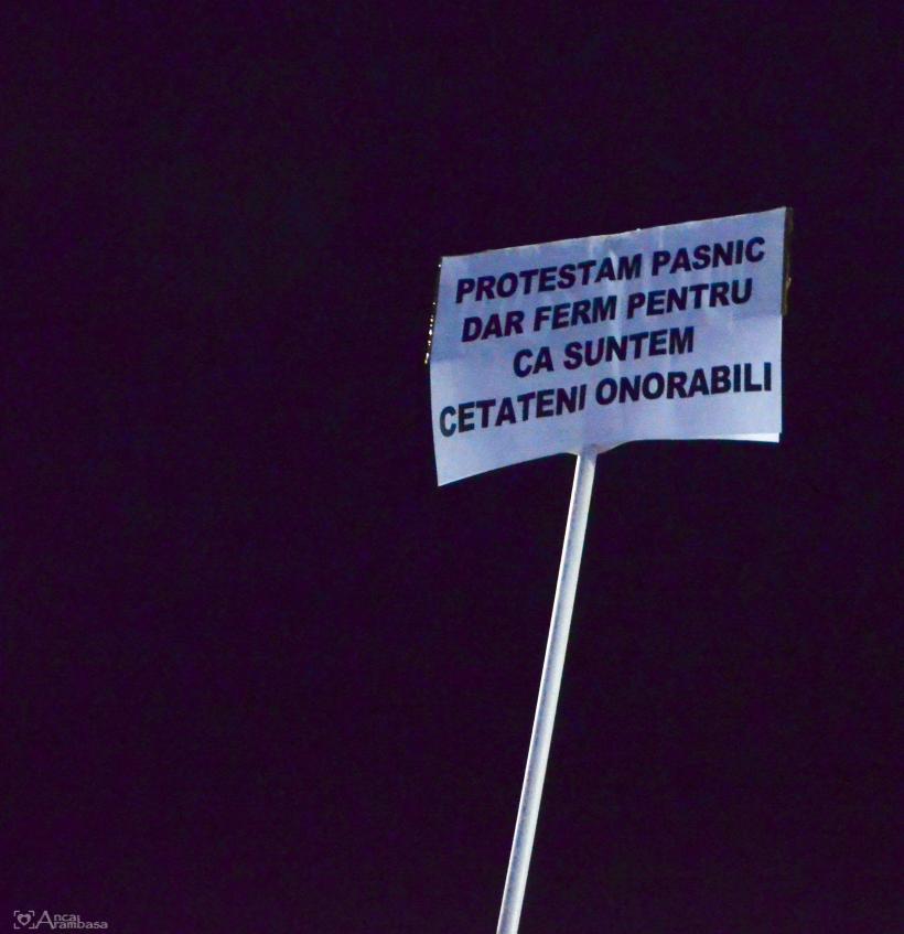 GALERIE FOTO - A treia zi de proteste din Piața Victoriei 18565947