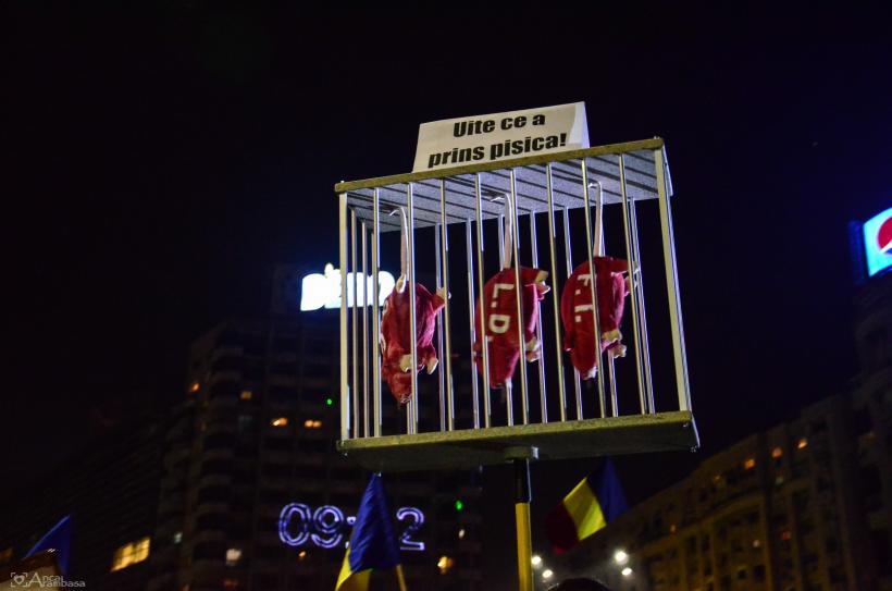 GALERIE FOTO - A șasea zi de proteste din Piața Victoriei 18566248