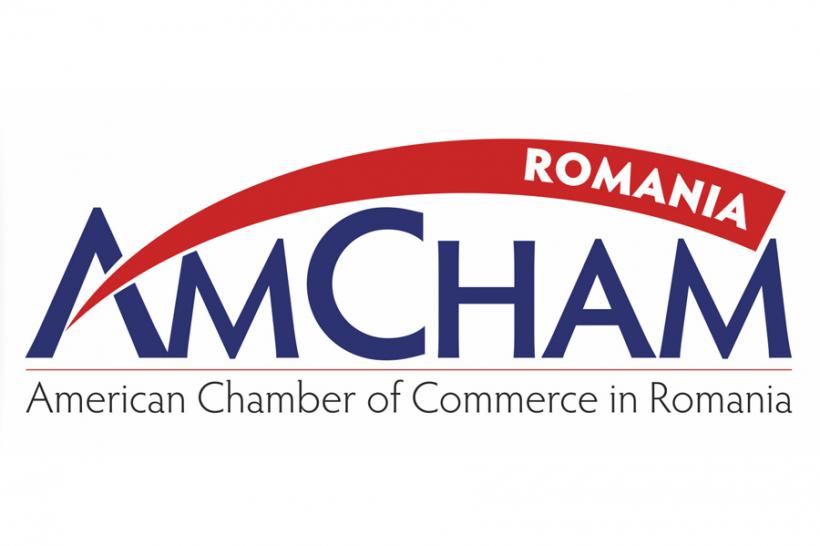 AmCham România respinge acuzaţiile privind implicarea multinaţionalelor în susţinerea protestelor publice