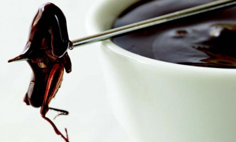 Japonezii sărbătoresc Valentine's Day cu dulciuri realizate din insecte