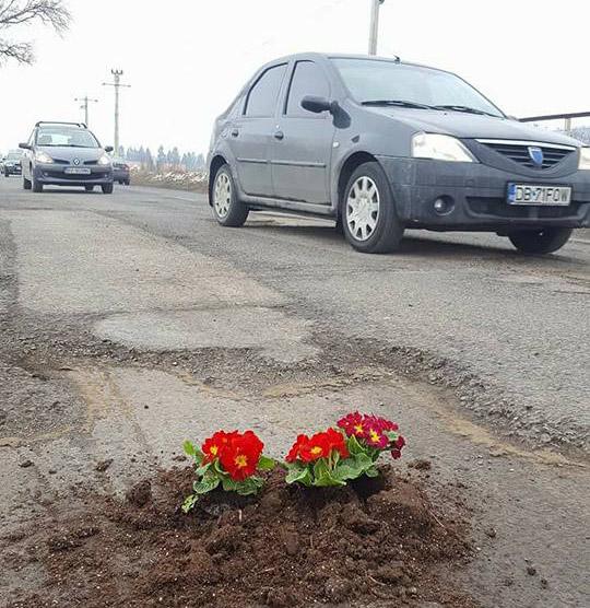 GALERIE FOTO: Braşov - Mai mulţi şoferi au plantat flori în găurile din DN73