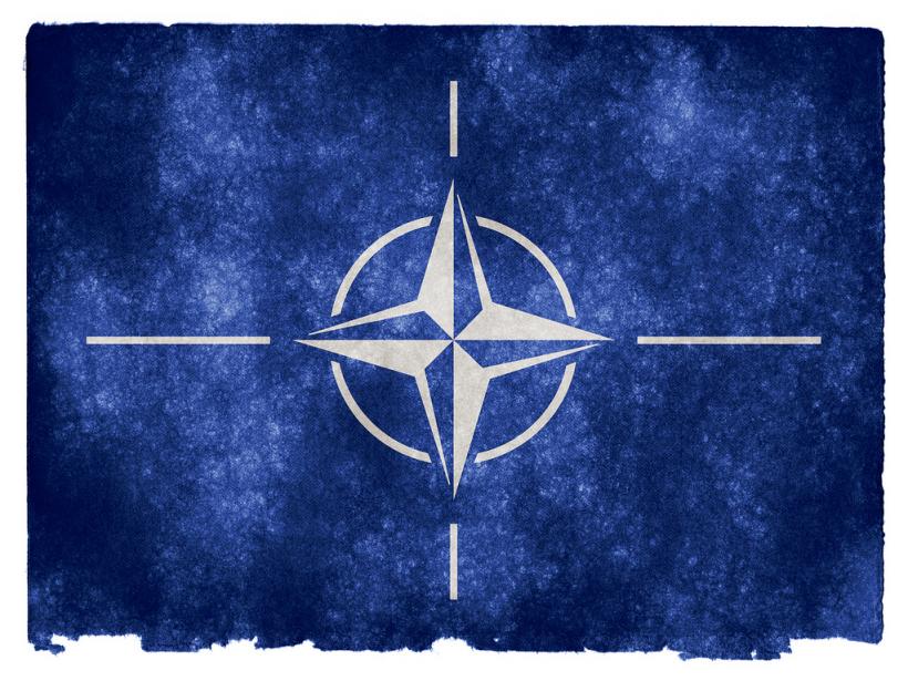 NATO, unitate specială la ţărmul Mării Negre. Ce spune Vladimir Putin