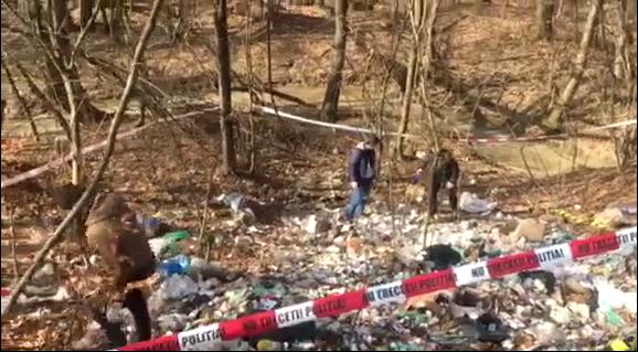 Gorj: Dosar penal in rem în cazul medicamentelor găsite aruncate într-o pădure