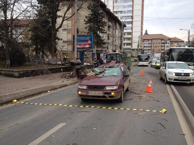 Vântul puternic face victime în Suceava, un copac a căzut peste o mașină aflată în mers