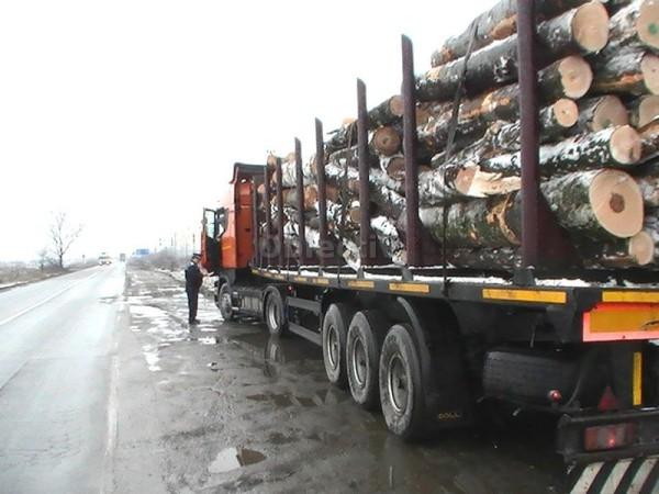 Suceava - Două transporturi ilegale de lemn, interceptate de poliţişti şi Garda Forestieră