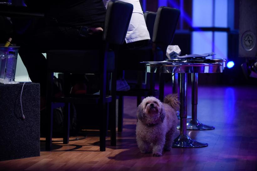 „Chefi la cuțite”, un nou record de audiență! Marți de la 20.30, personaje de poveste vin în fața juraților 18568648