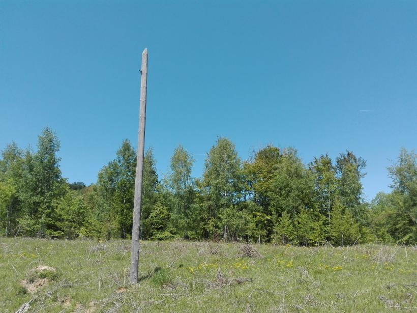 În satul românesc s-a răsturnat căruţa cu investiții proaste  18569381