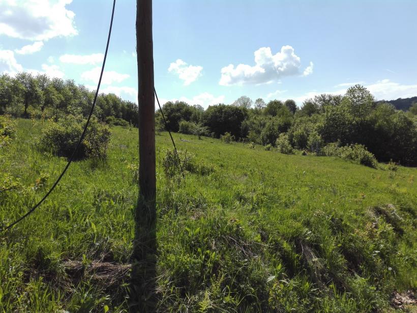 În satul românesc s-a răsturnat căruţa cu investiții proaste  18569382