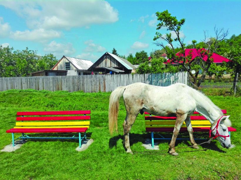 În satul românesc s-a răsturnat căruţa cu investiții proaste  18569385