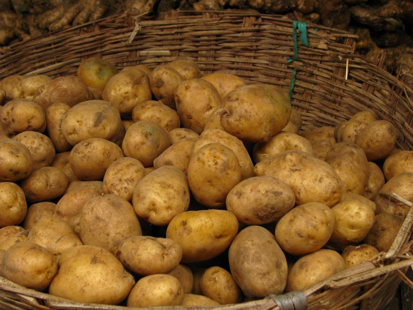 Cartofii și citricele s-au scumpit cel mai mult în luna februarie