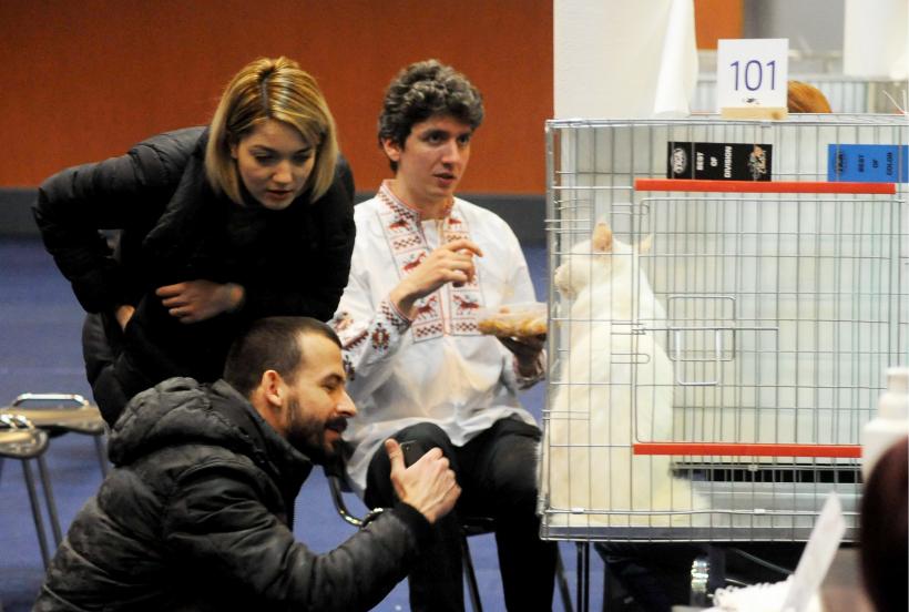 GALERIE FOTO. Bucharest Pet Exhibition. Parada pisicilor și câinilor 18569945