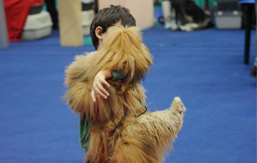 GALERIE FOTO. Bucharest Pet Exhibition. Parada pisicilor și câinilor 18569953