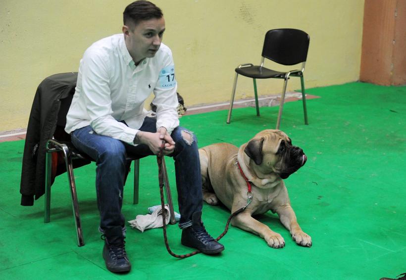 GALERIE FOTO. Bucharest Pet Exhibition. Parada pisicilor și câinilor 18569983