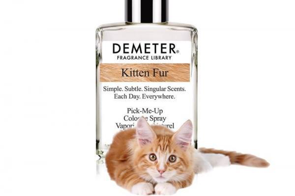 O companie din SUA a lansat un parfum cu miros de... blană de pisică