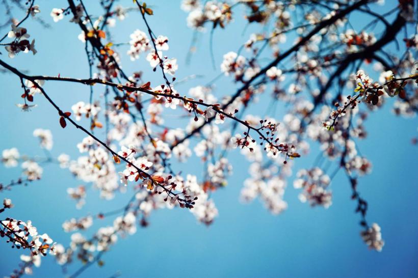 Echinocţiul de primăvara 2017. 4 sfaturi pentru un nou început
