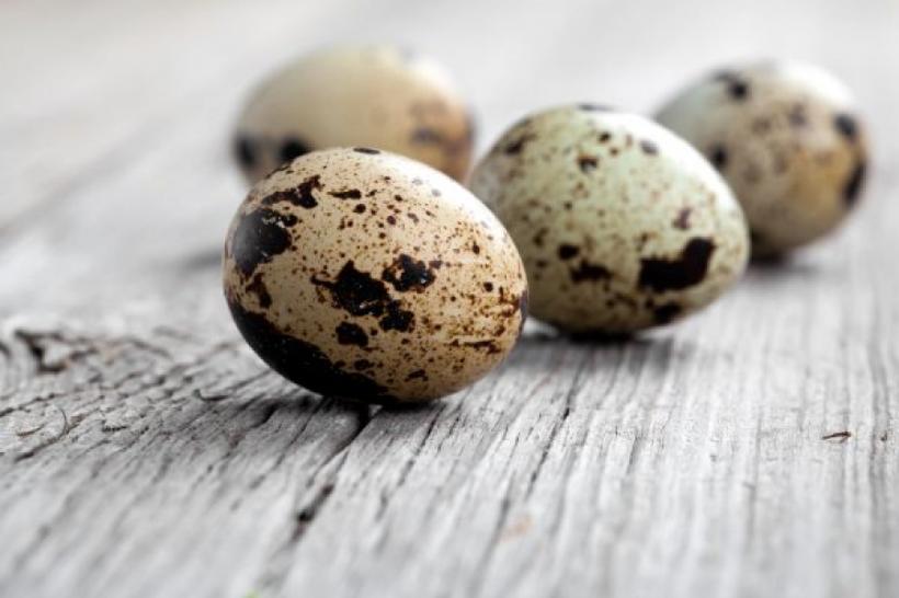 Tratamente naturiste. Beneficiile terapeutice ale consumului de ouă de prepeliţă. Ce boli pot fi tratate