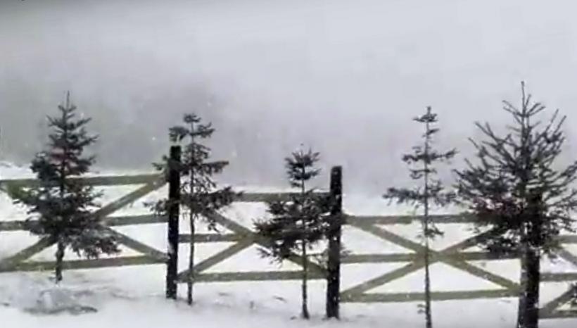VIDEO - În munții Bucegi a venit iarna iar zăpada a ajuns la 5 centimetri