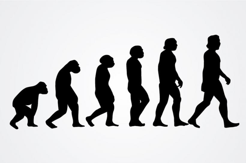 5 concepții greșite despre Teoria Evoluției Naturale