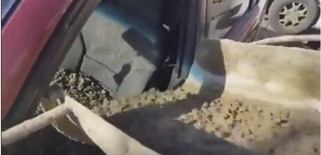VIDEO! Un rus a turnat ciment în maşina soţiei pentru că aceasta şi-a schimbat numele de familie