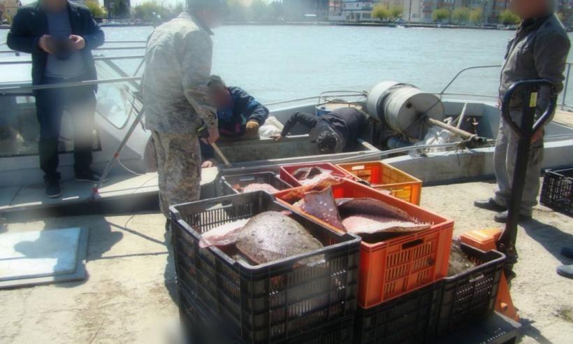 Navă din Ucraina, arestată în apele teritoriale române pentru pescuit ilegal