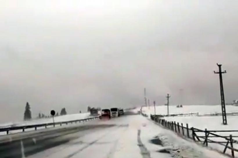 Trafic îngreunat din cauza ninsorii; arbore prăbuşit peste un autovehicul în Pasul Oituz