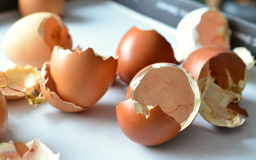 Iată de ce nu trebuie să mai arunci cojile de ou și să le mănânci
