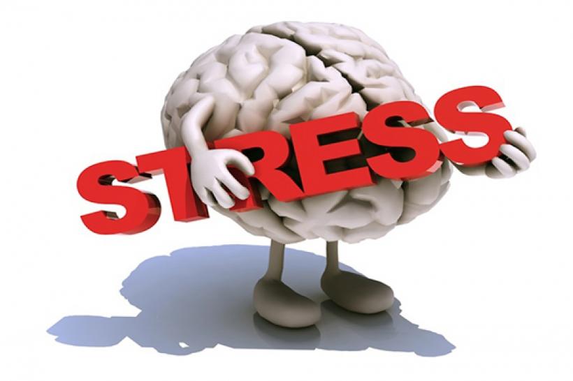 STRESUL, pericol uriaş pentru sănătate. 9 EFECTE ale stresului asupra corpului, pe care adesea le ignorăm