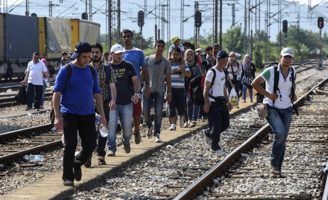  Timiş: 17 migranţi sirieni şi irakieni, opriţi la frontiera cu Serbia