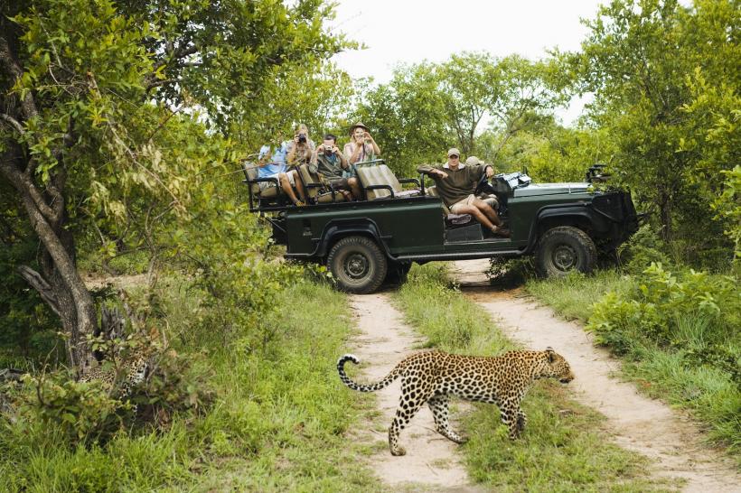 Vacanță de lux în sălbăticie: safari în Africa şi camping în junglă