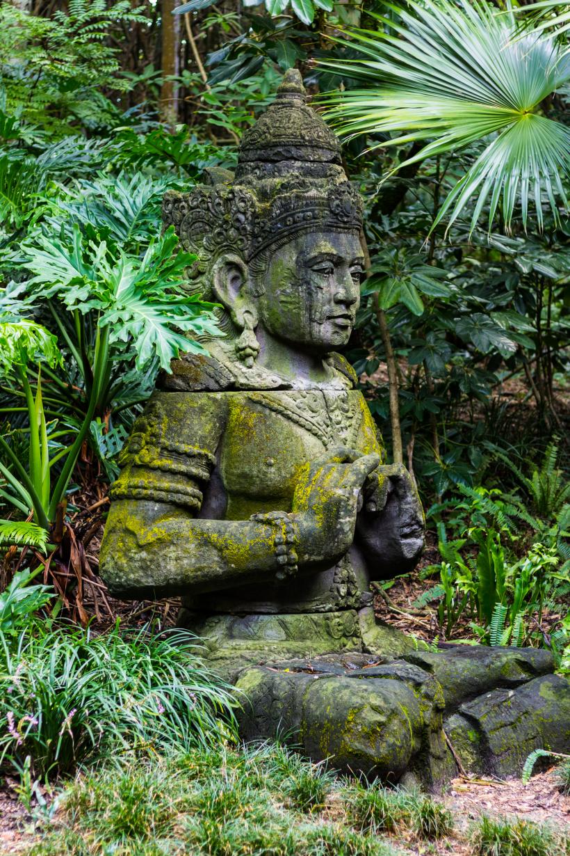 Vacanță de lux în sălbăticie: safari în Africa şi camping în junglă 18574318