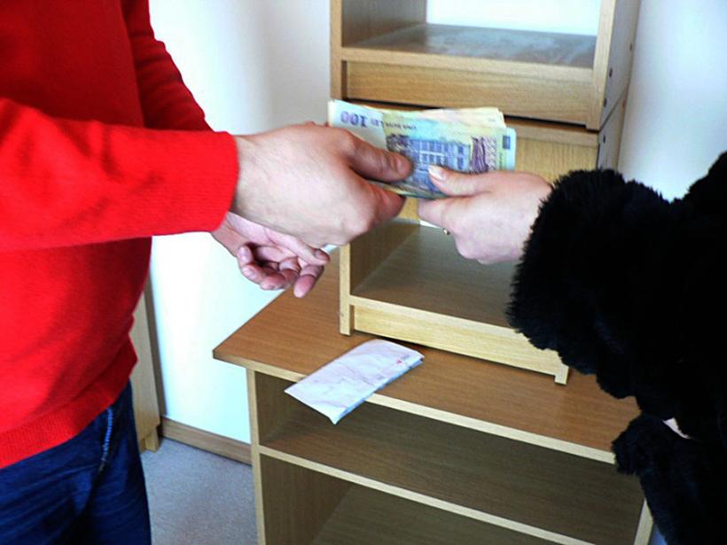 Escrocherii în lanț la Botoșani; o mamă și o pensionară, convinse să plătescă pentru servicii fictive