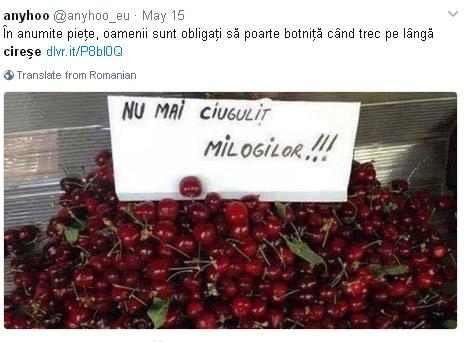 Cele mai tari glume cu preţul cireşelor din acest an 18576697