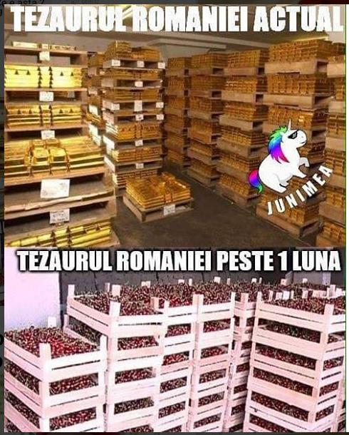 Cele mai tari glume cu preţul cireşelor din acest an 18576700