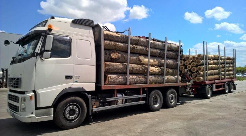 Suceava - Transport ilegal de lemne, depistat de polițiști