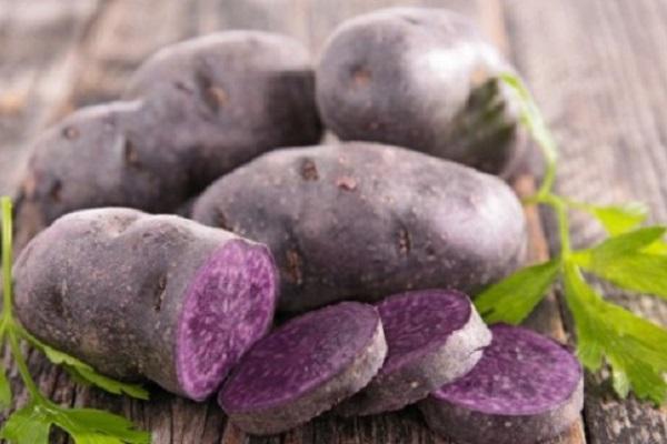 Cartoful mov - leguma din Peru, devenită cea mai profitabilă afacere a momentului în România (sfaturi pentru agricultori)