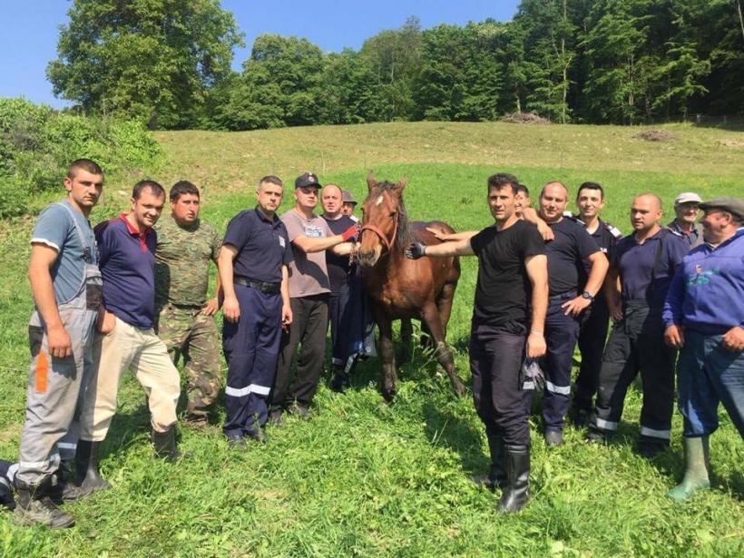 Covasna: Un cal căzut într-o fântână, salvat de pompieri
