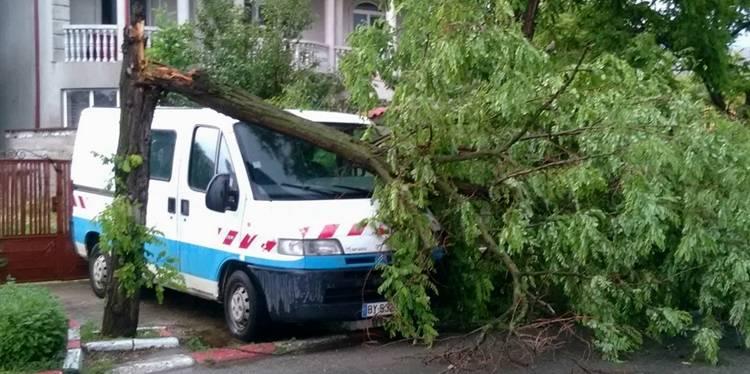 Vijelie în Alexandria - Un șofer a trecut prin momente de groază după ce un copac a căzut peste mașina sa