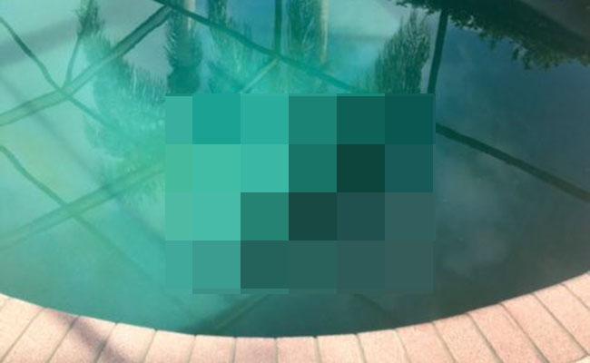 O familie din Florida a avut o surpriză de proporții când a vrut să facă baie în piscină