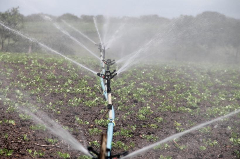 Ministrul Agriculturii îşi propune, până în 2020, realizarea sistemelor de irigaţii pentru două milioane de hectare
