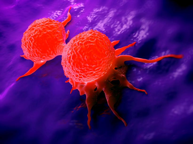  Canabisul asociat cu chimioterapia omoară celulele canceroase 