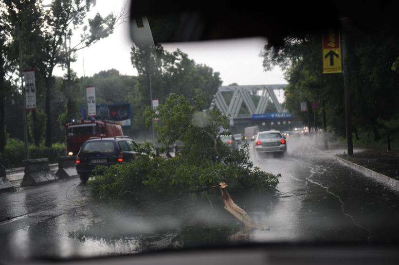 Copaci cazuţi după furtuna din Capitală;bărbat cu traumatim cranio-cerebral minor după ce un copac a căzut pe maşina sa